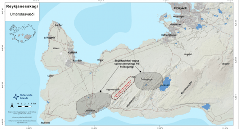 Reykjanesskagi
